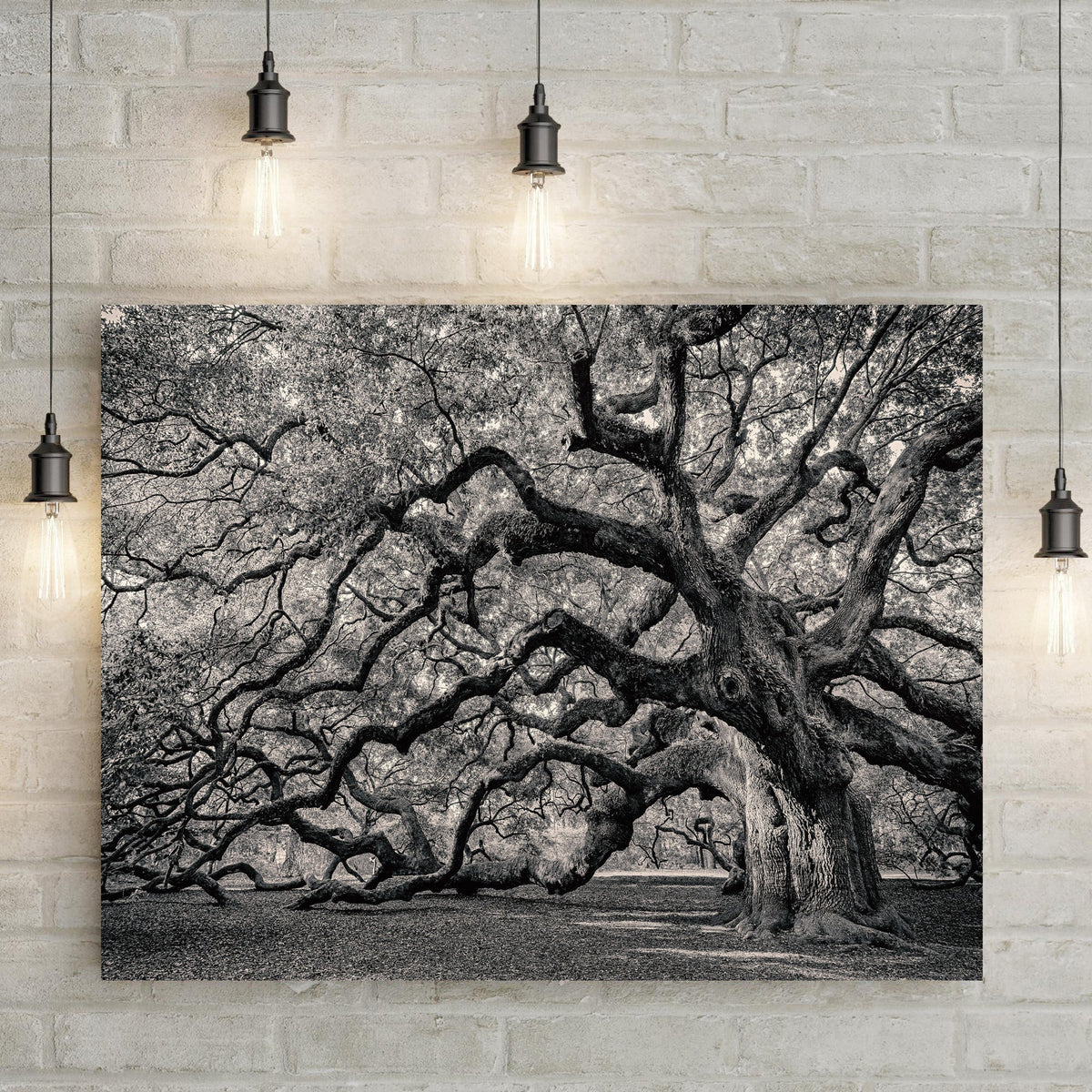 Wall Art & Prints - monochrome canvas art