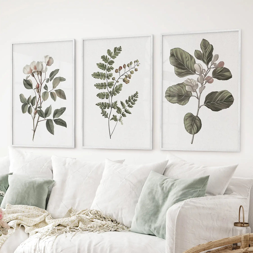 Minimalist Lithographic Plants Prints. 3 Piece Botanical Art